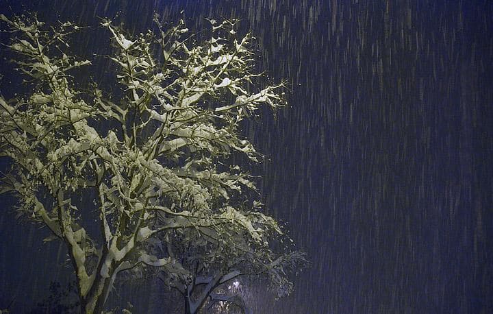 La neve
